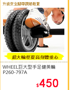 台灣製造WHEEL巨大型手足健美輪P260-797A