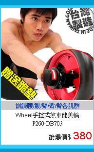 台灣製造Wheel手控式煞車健美輪P260-DB703