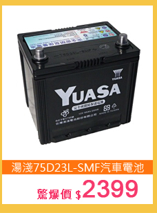 YUASA湯淺電池75D23L-SMF免保養汽車電池